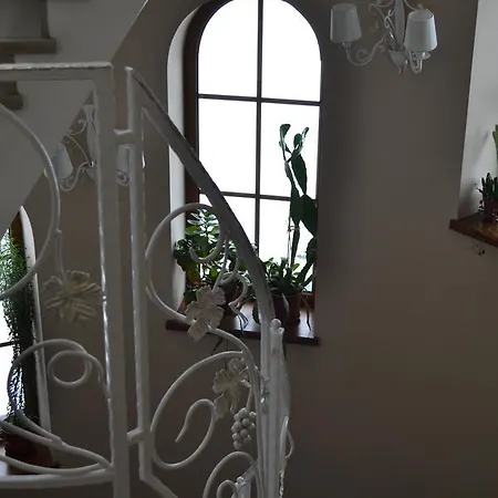 Відень 3* Lviv